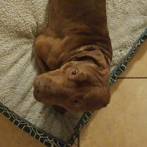 Meet your Posher, Lisa